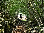 CANTO ALTO anello in direttissima da Zogno-Corna (25apr21)  - FOTOGALLERY